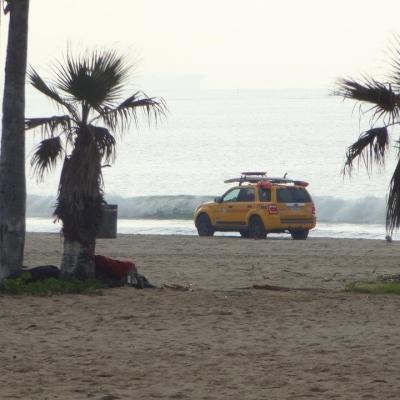 Life Guard